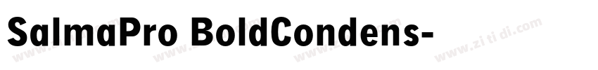 SalmaPro BoldCondens字体转换 SalmaPro BoldCondens字体转换